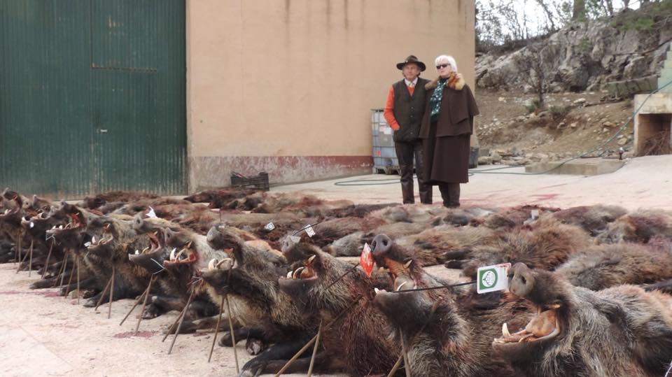 Montería en Nava el Sach III