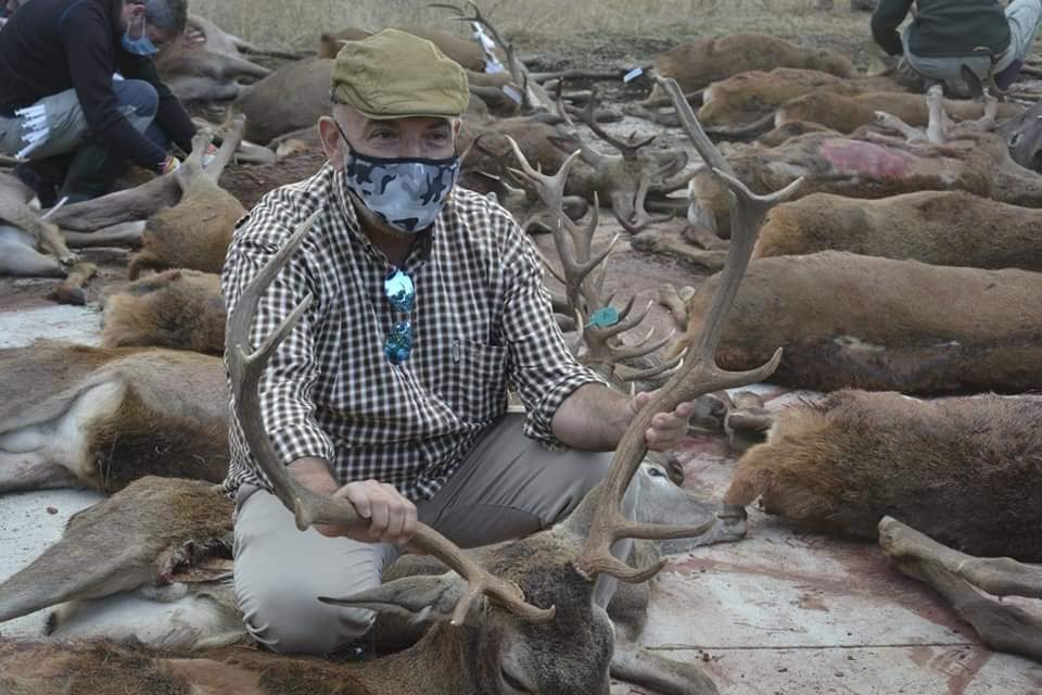 Montería en Aliserillas