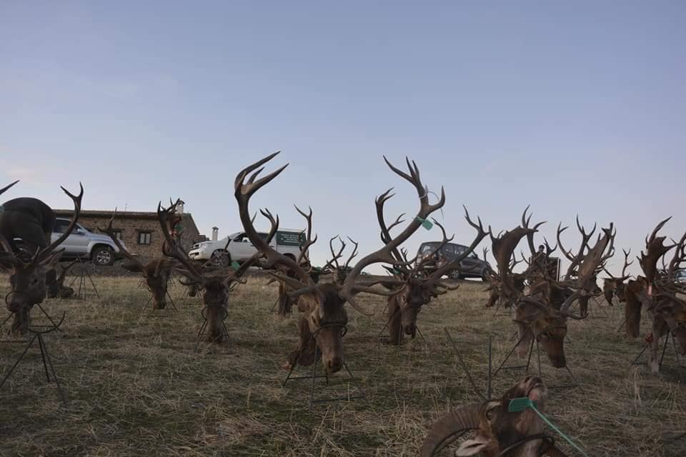 Montería en Lentisquillo