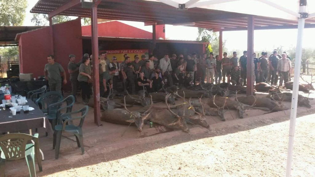 Montería en El Pantano