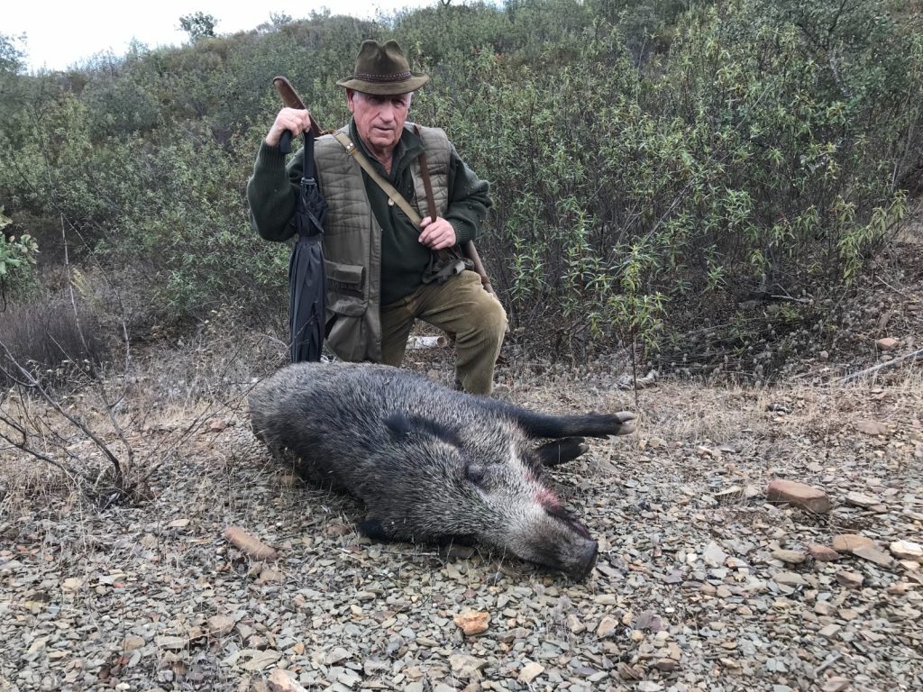 Montería en Los Pinares