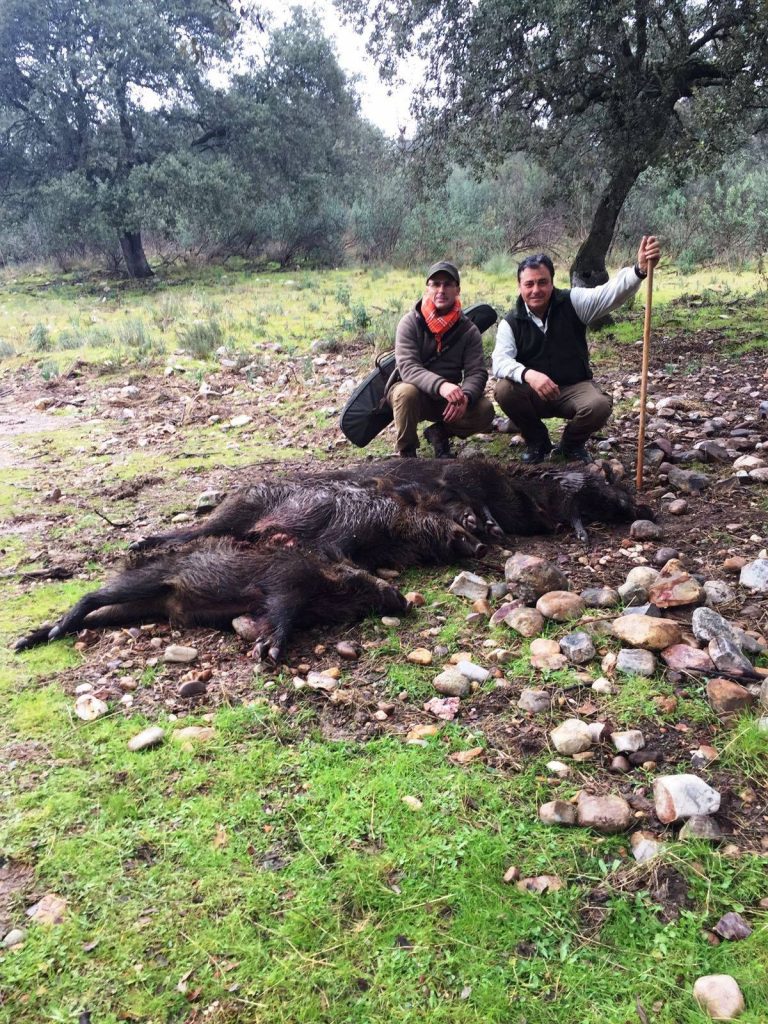 Montería en Alpotrequillo-La Portilla
