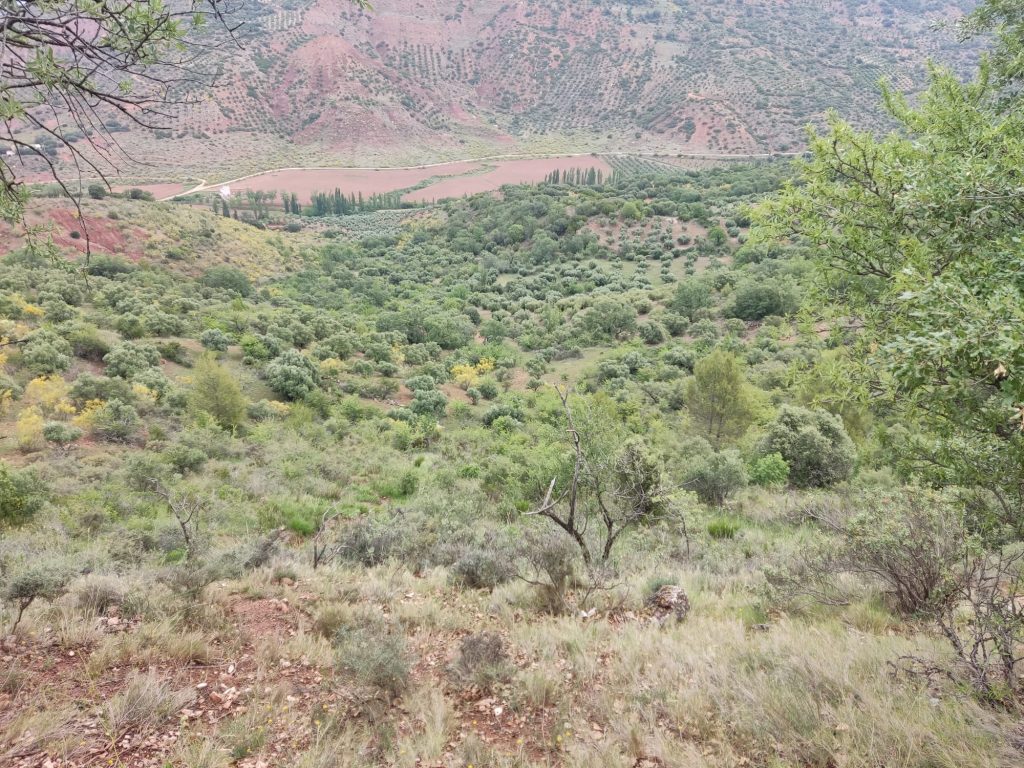 Montería en El Chaparral