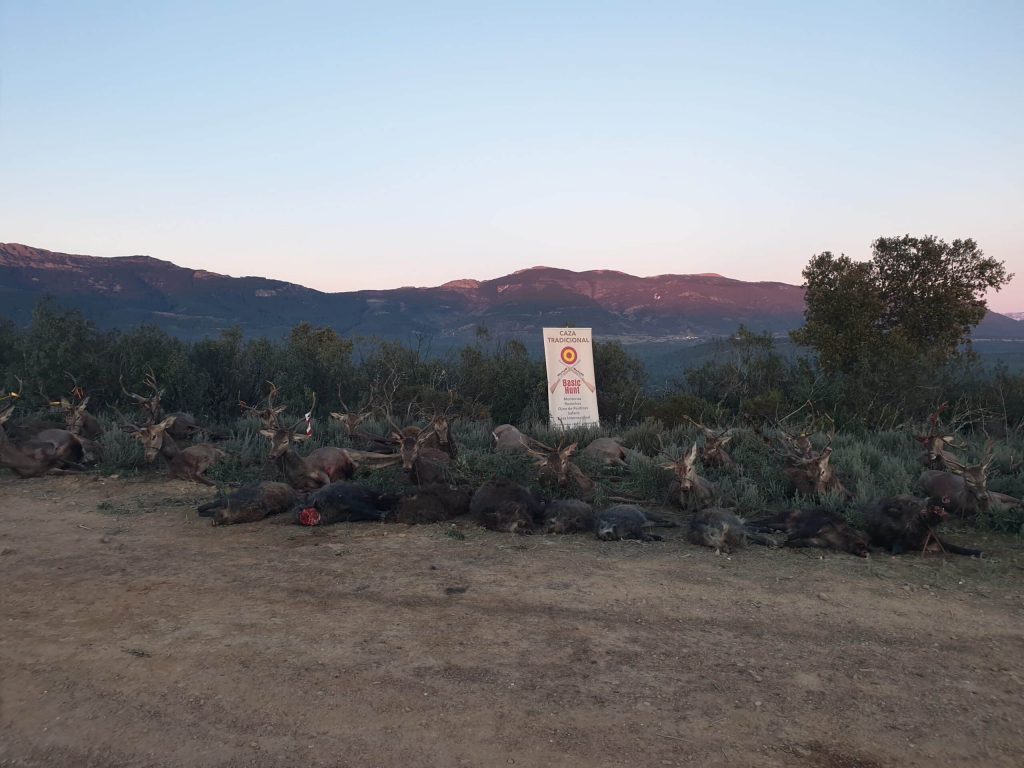 Montería en El Puente
