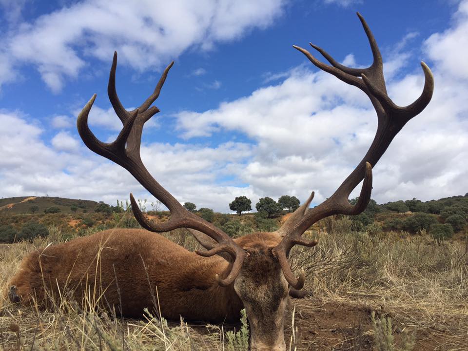 Montería en La Sierrecilla