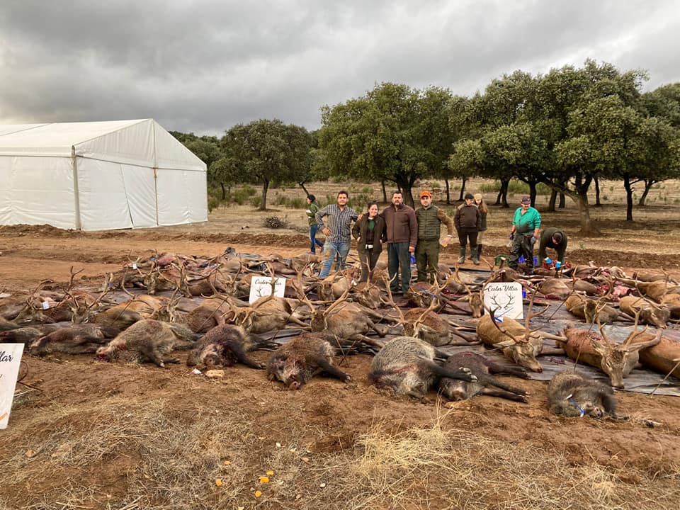 Montería en Rosalejo