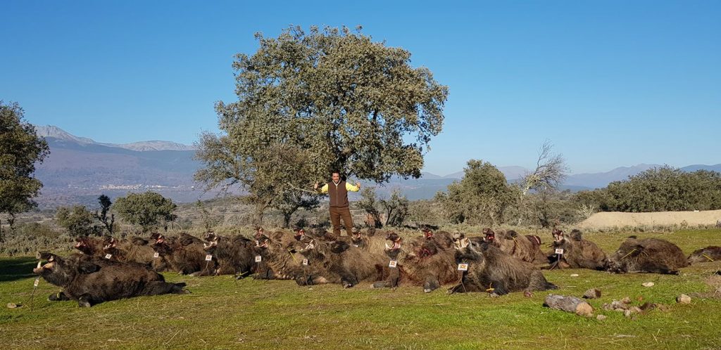 Montería en Arenal de Arriba II