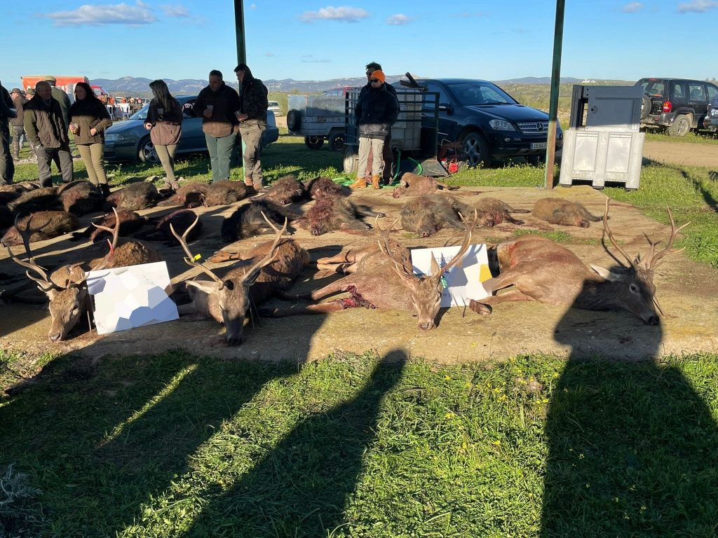 Montería en las Gagas