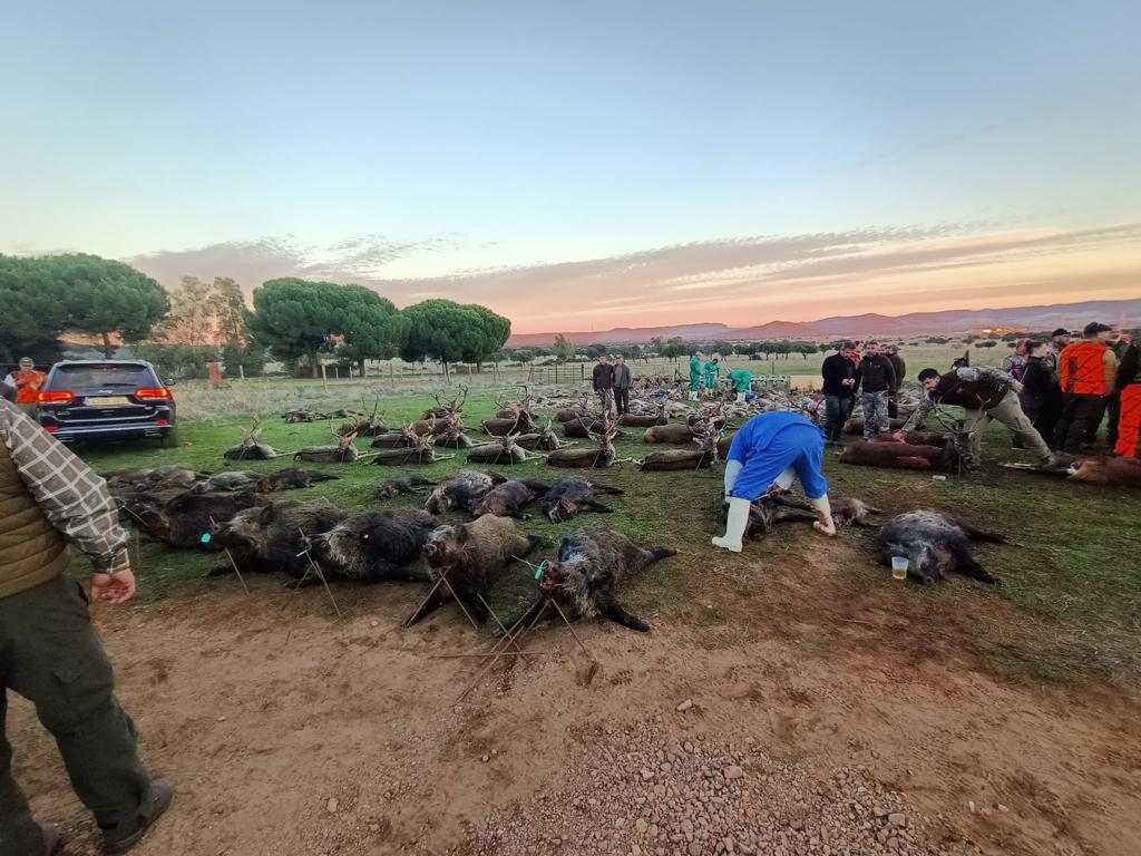 Montería en Valdeloshitos