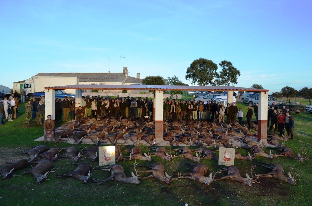 Montería en La Agapita-Valdehombre