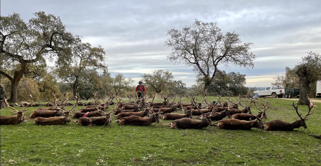 Montería en La Parrilla