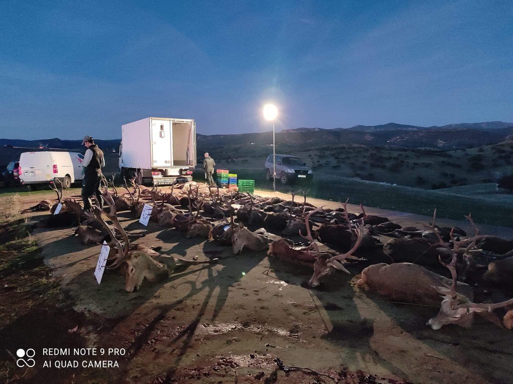 Montería en Barranquillos