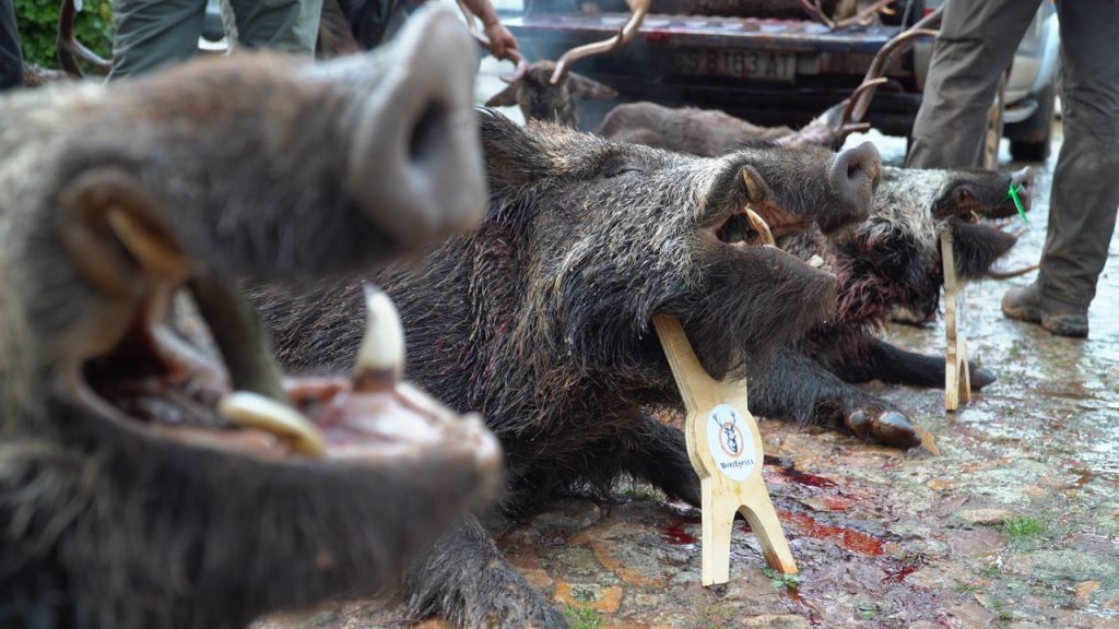 Montería en La Estancia III