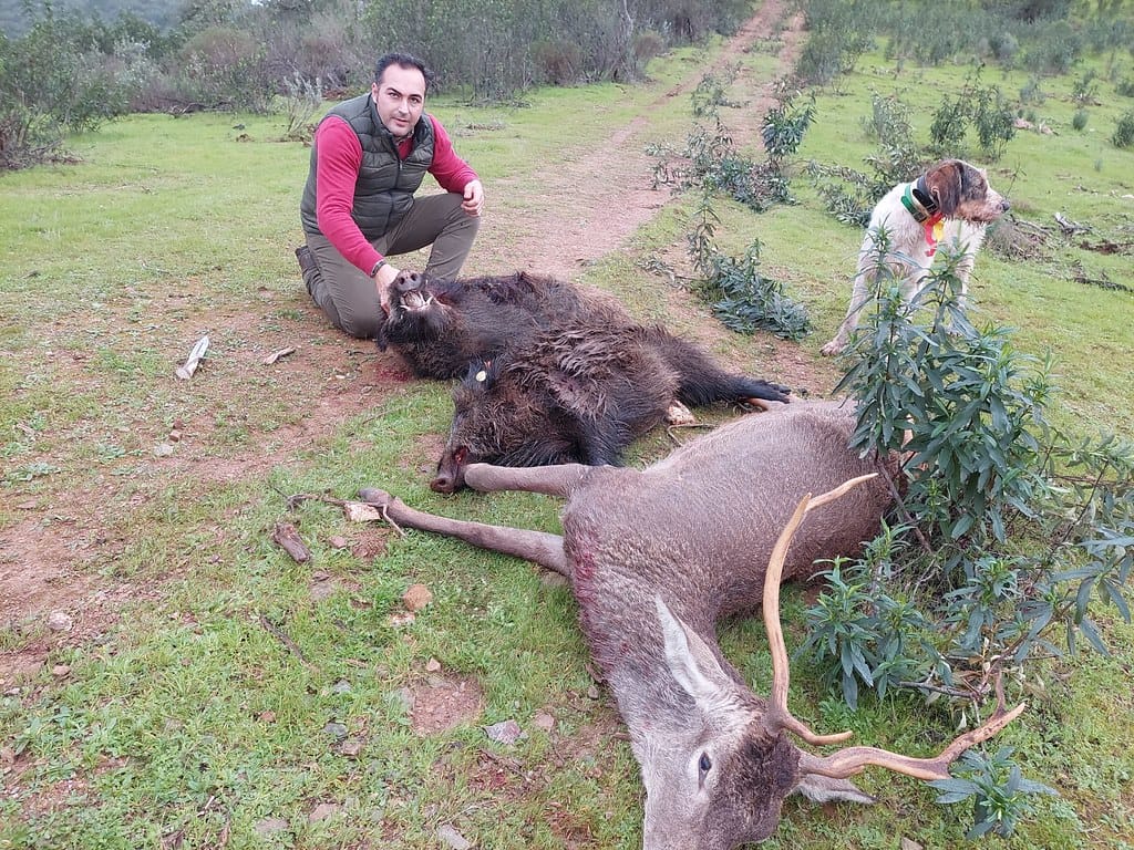 Montería en Puntería