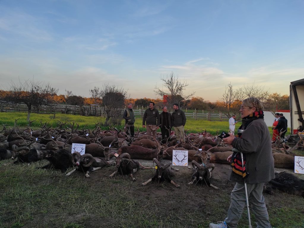 Montería en Vallepalacio
