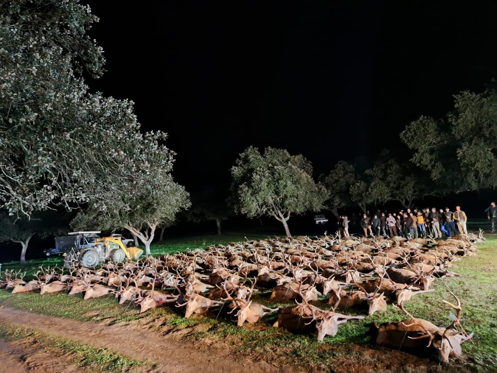 Montería en Casas Rubias