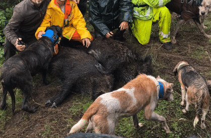 Montería en Los Horcajos