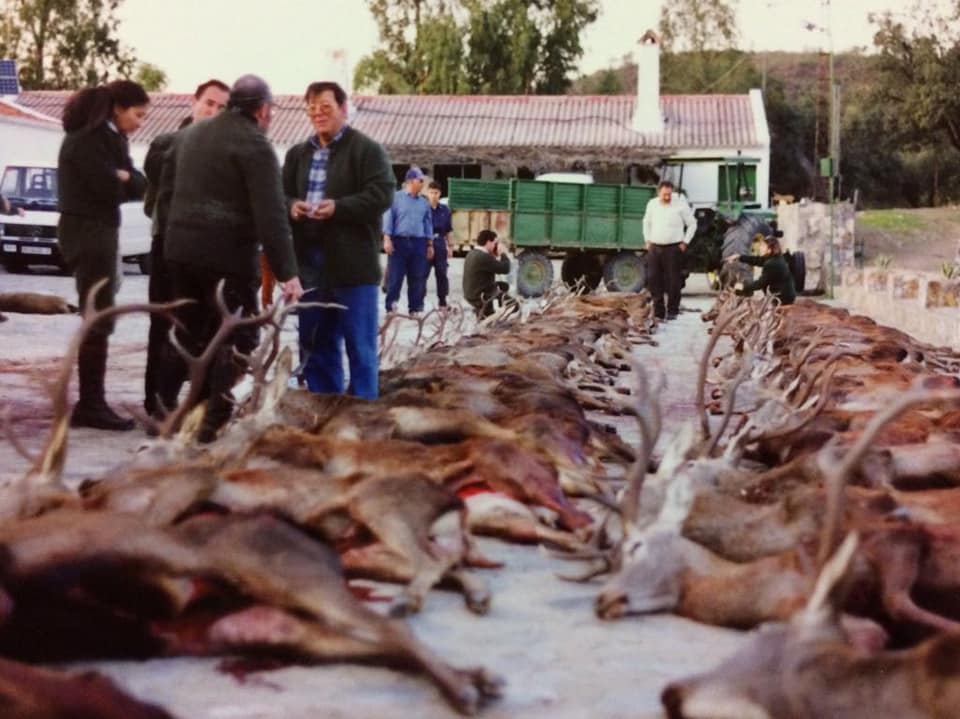 Montería en la Torrecilla