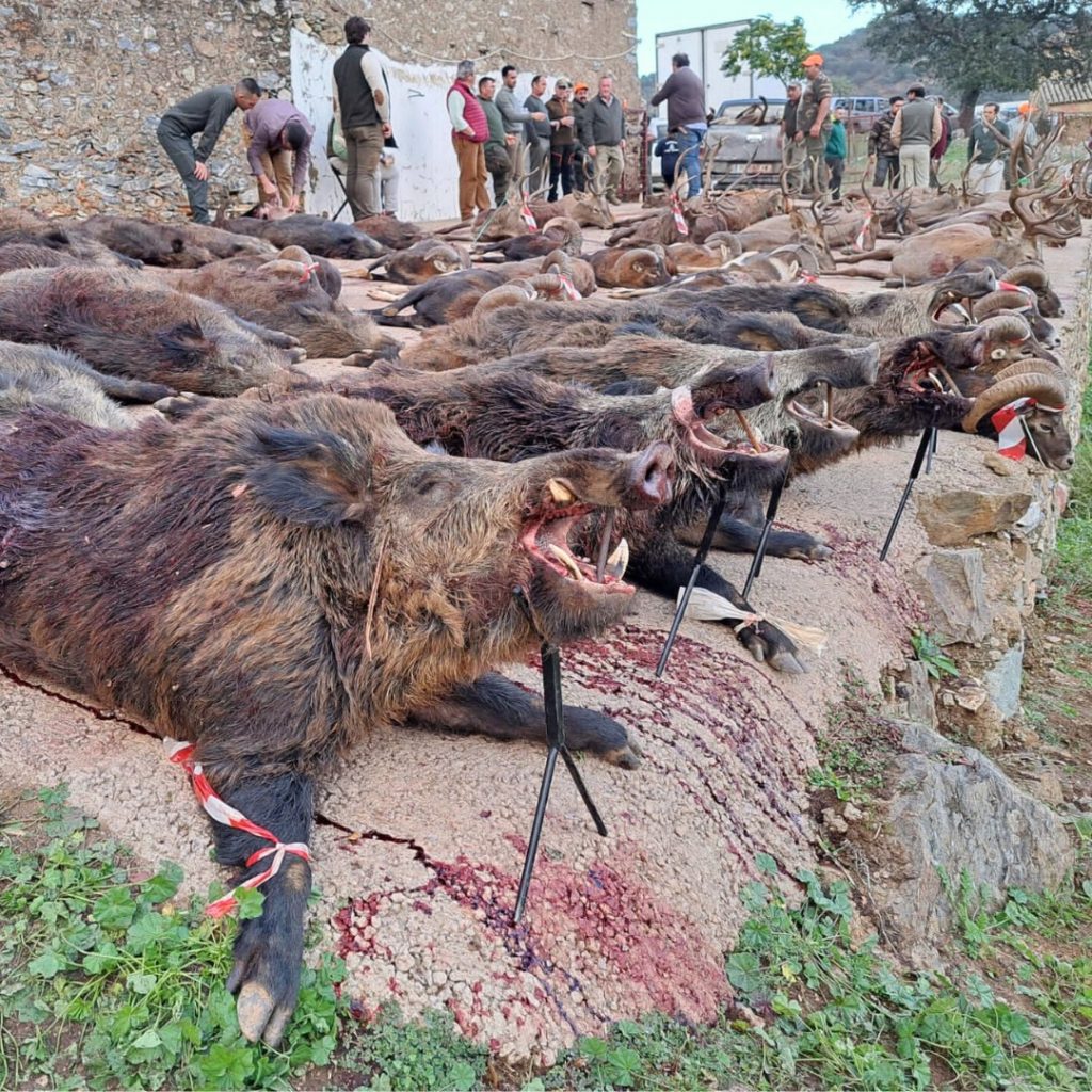 Montería en El Poyuelo