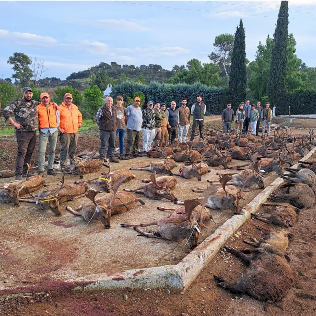 Montería en La Valverda