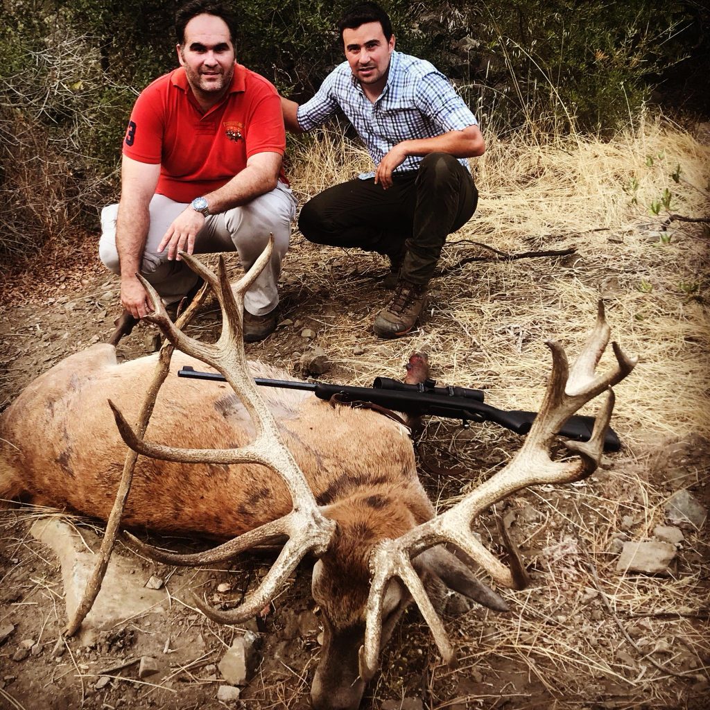 Montería en el Cortijo