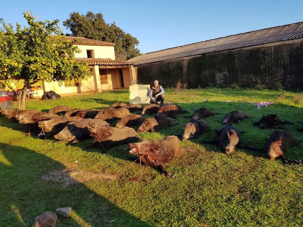 Montería en La Matilla.