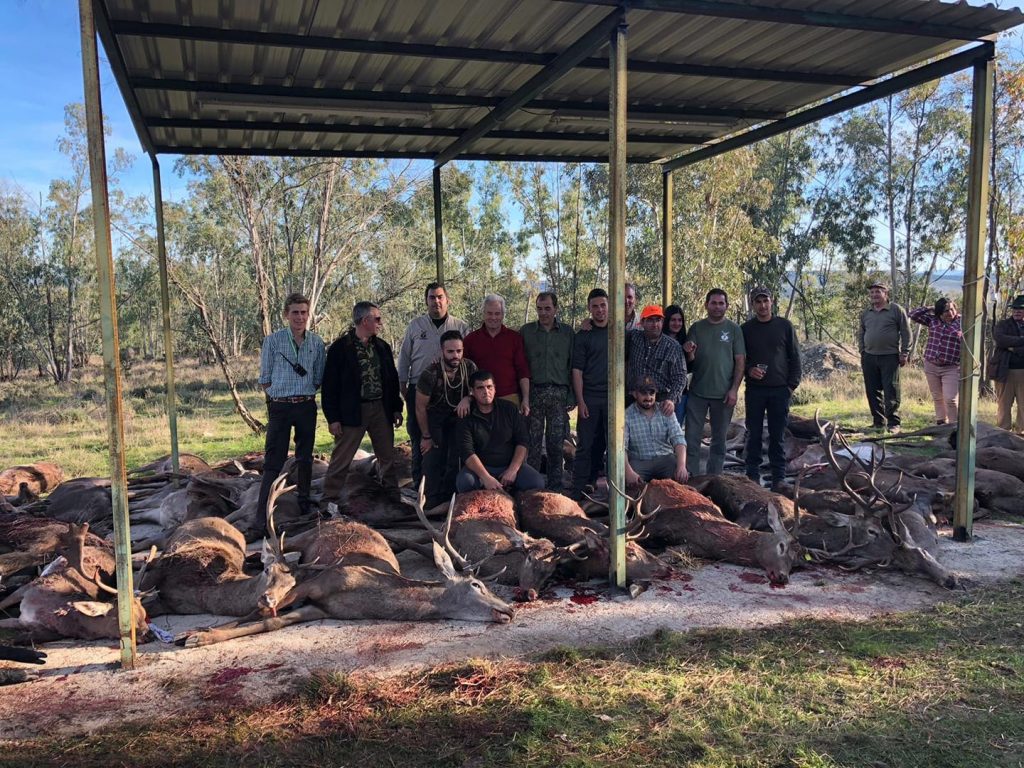 Montería en el Valle