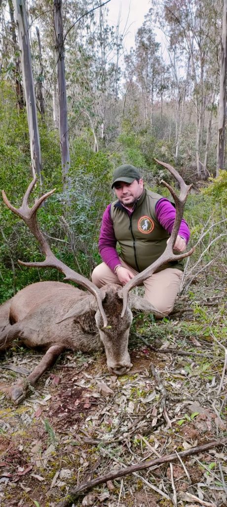 Montería en Castillo de Argallanes