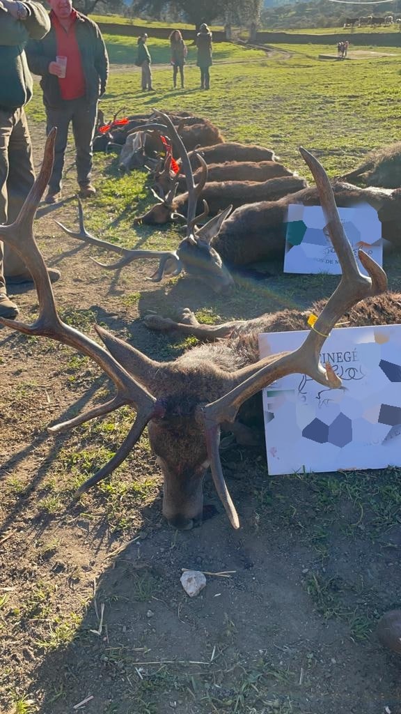 Montería en Las Cabezas de Tiracalzas