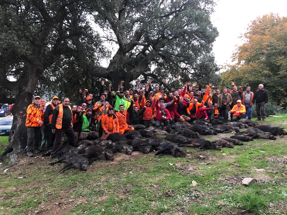 Montería en El Viñedo de Requesens