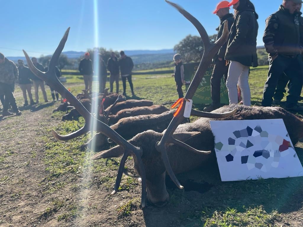 Montería en Tiracalzas