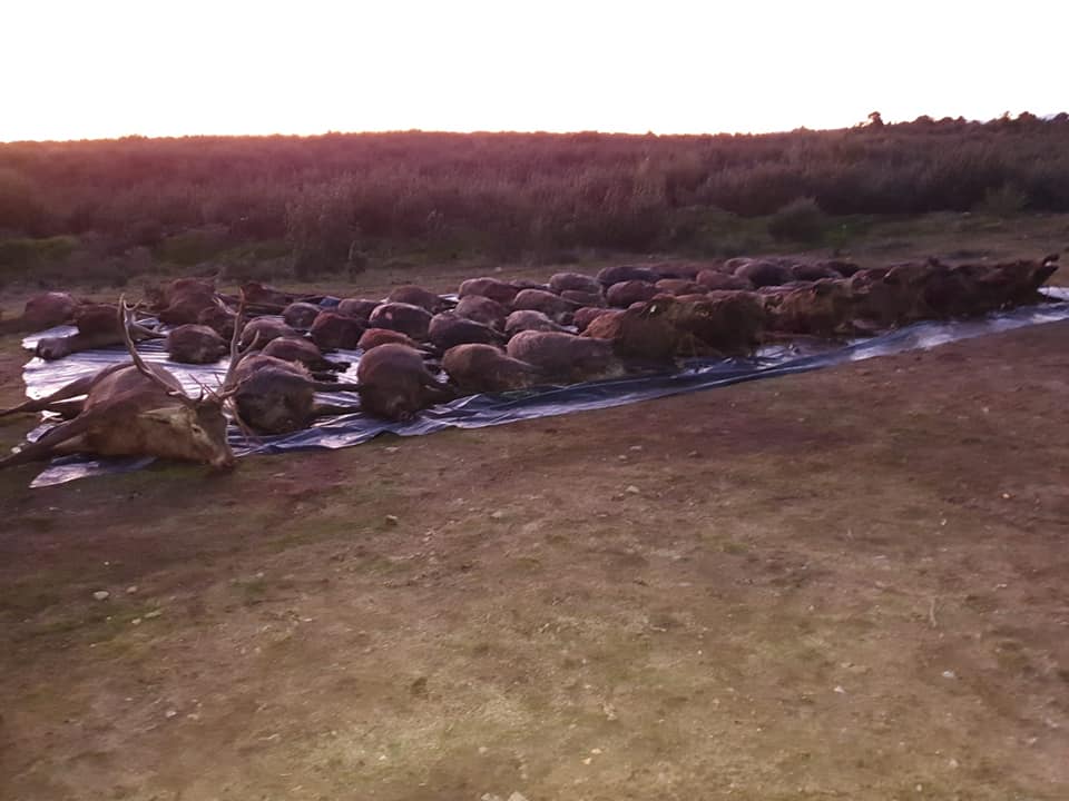 Montería en el Vallejón