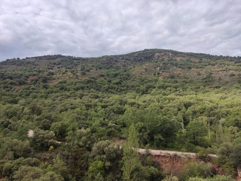 Montería en Dehesa de las Talas