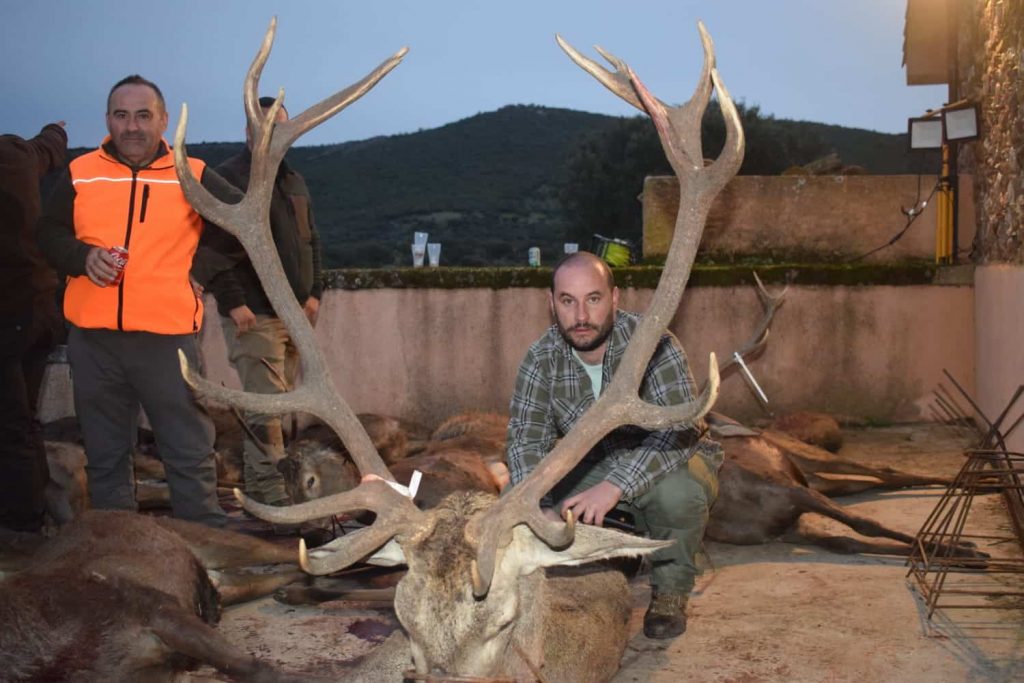 Montería en Vistalegre