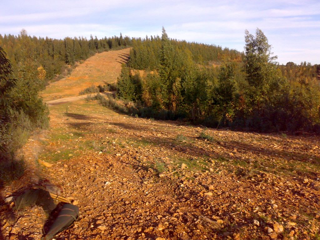 Montería en la Mina.