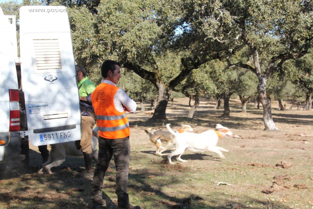 Montería en el Carrasco