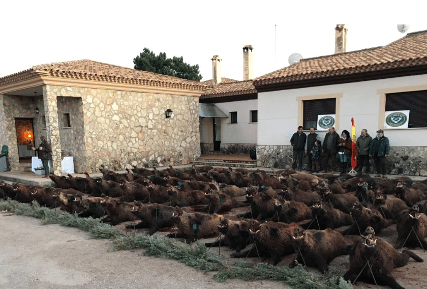Montería en Santa Quiteria
