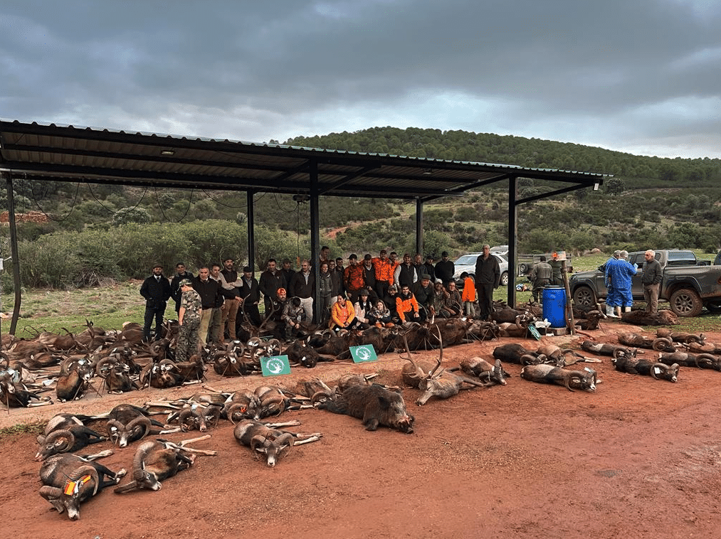 Montería en Piedra Santa
