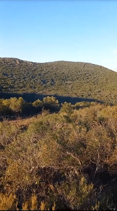 Montería en la caldera de esquivias