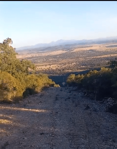 Montería en El Palancar