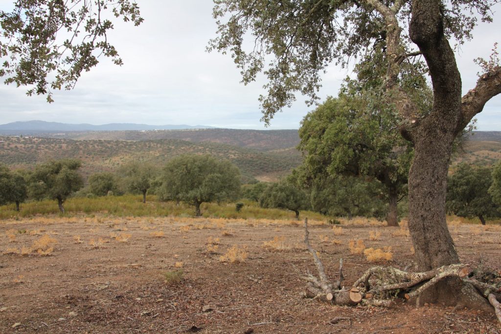 Montería en Los Puertos