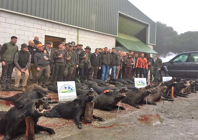 Montería en Cuervo y Porón