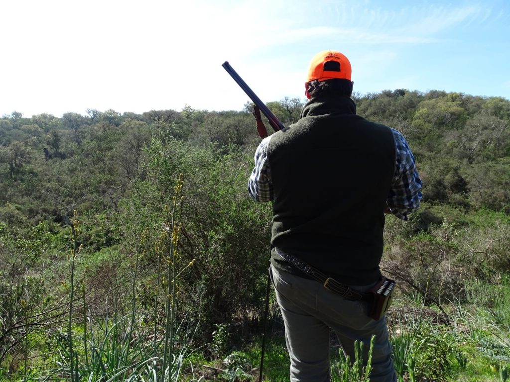 Montería en Venta Nueva