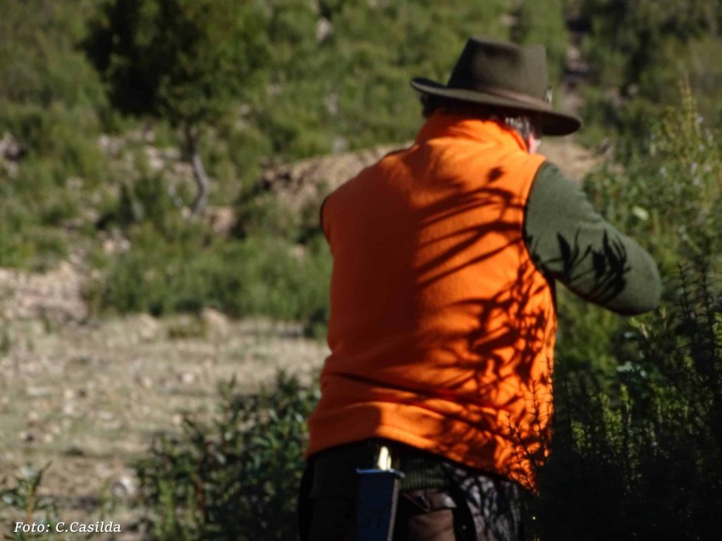 Montería en Los Casares