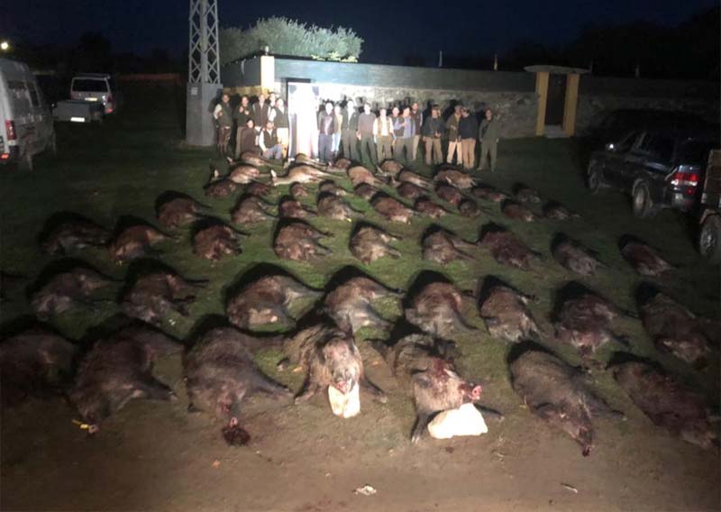 Montería en La Iglesuela
