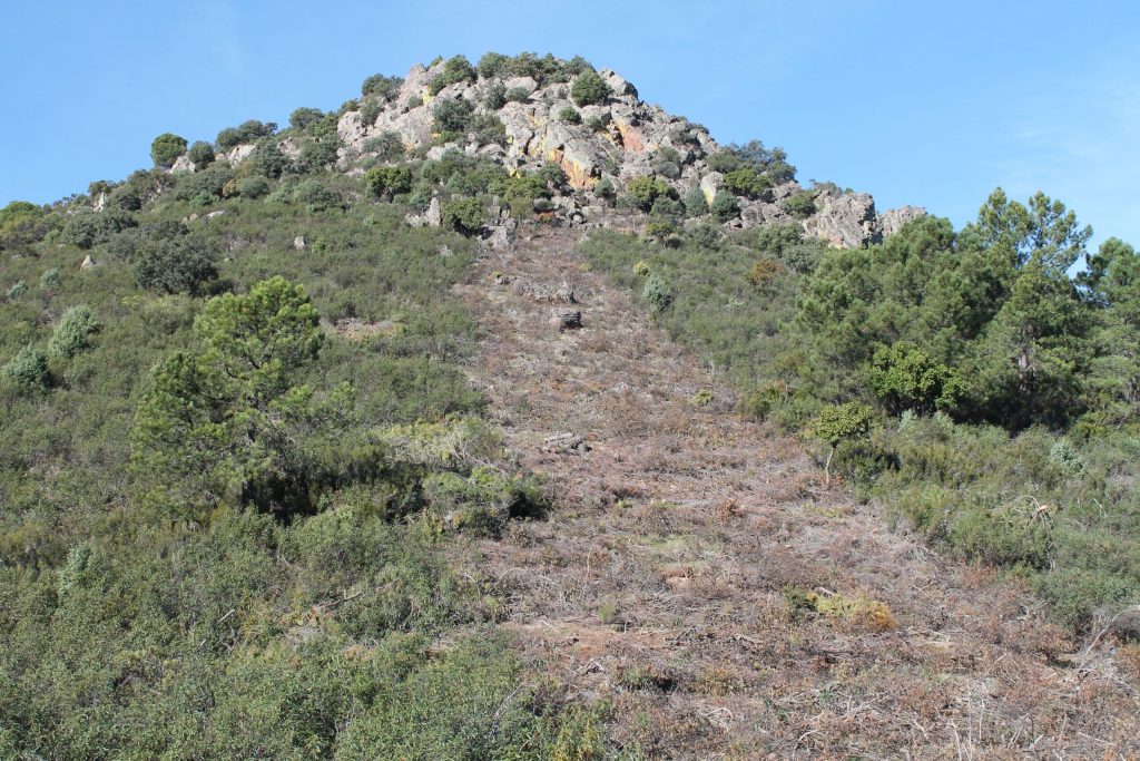 Montería en La Jabalina.