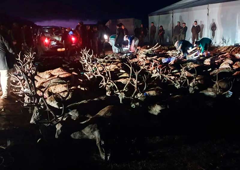 Montería en El Risquillo