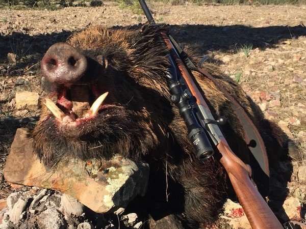 Montería en El Rosal