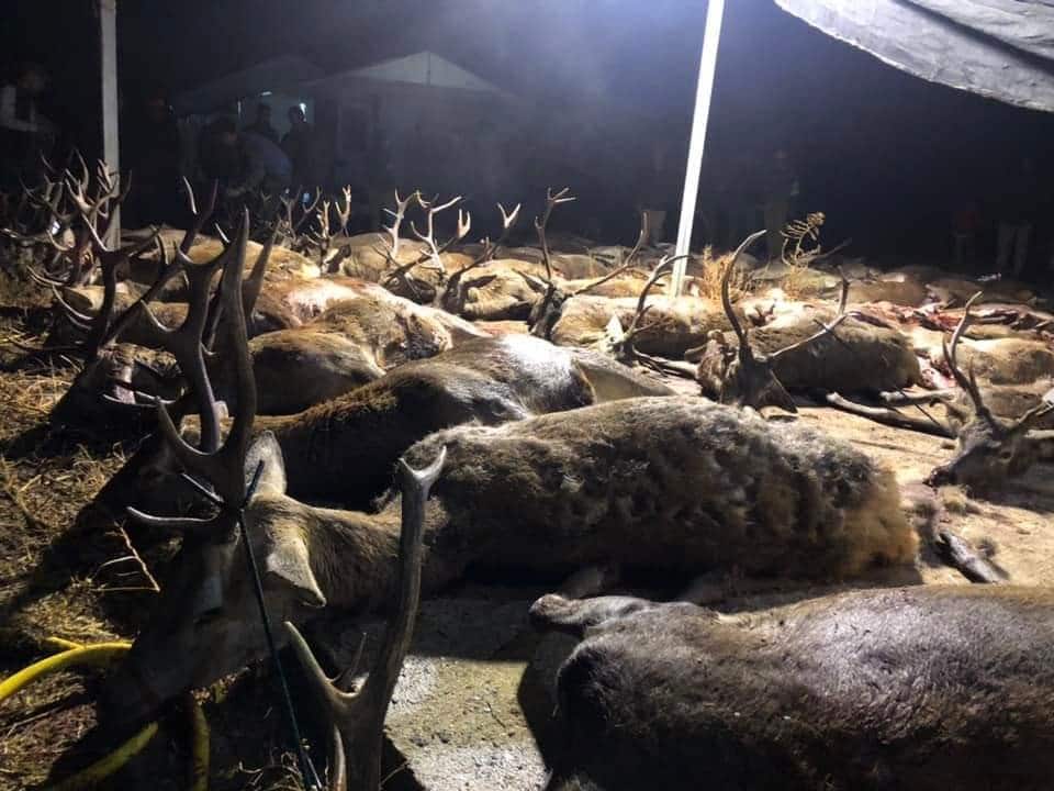 Montería en La Utrera