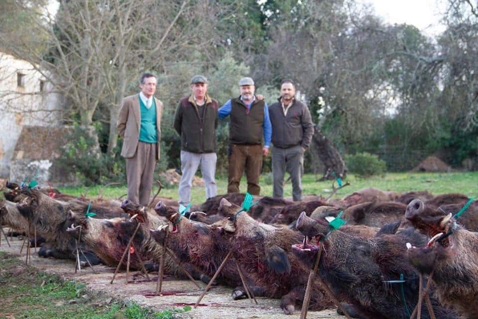 Montería en Cañadillas